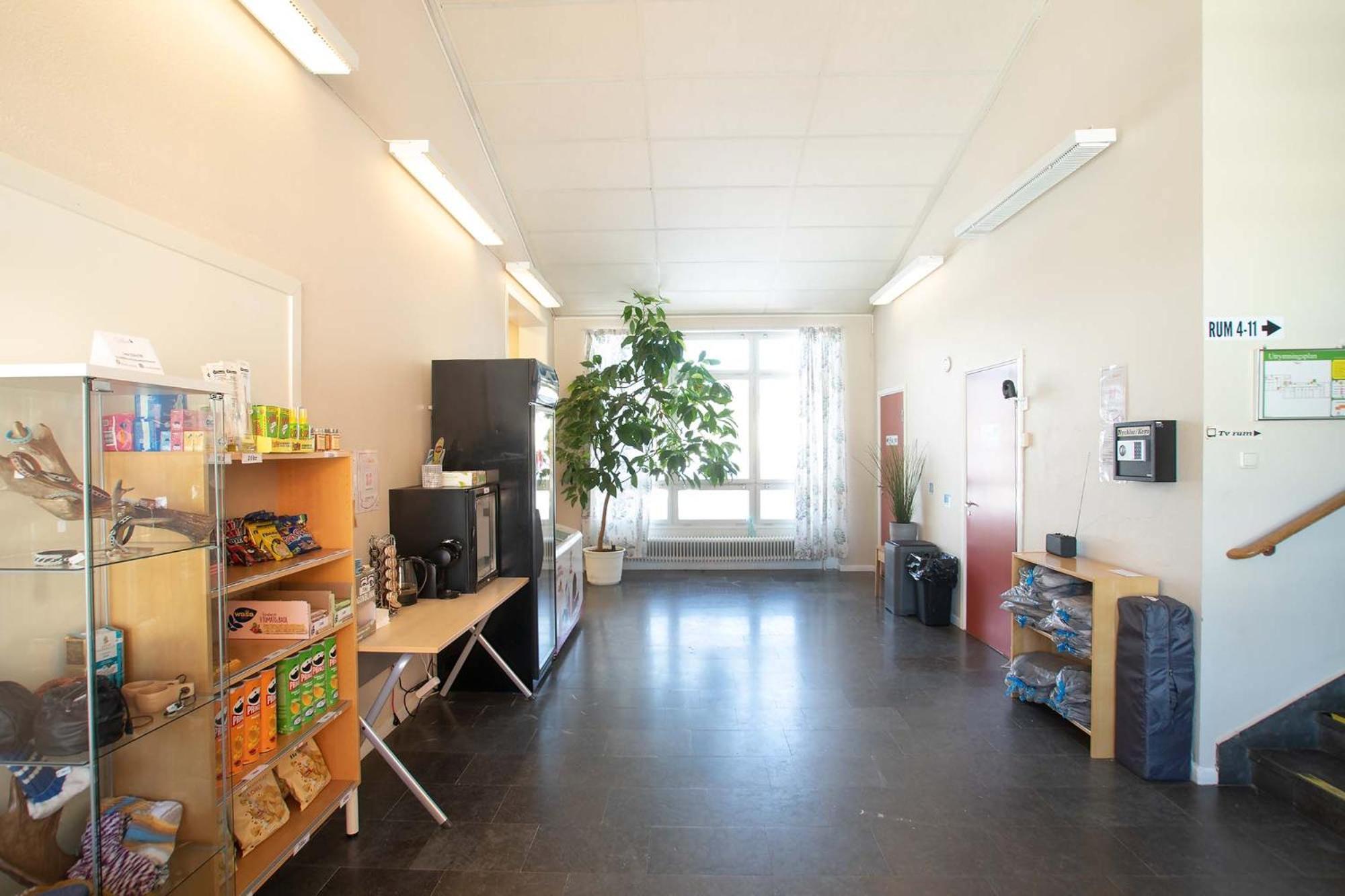 Dalasjoe Vandrarhem Vilhelmina Exteriér fotografie